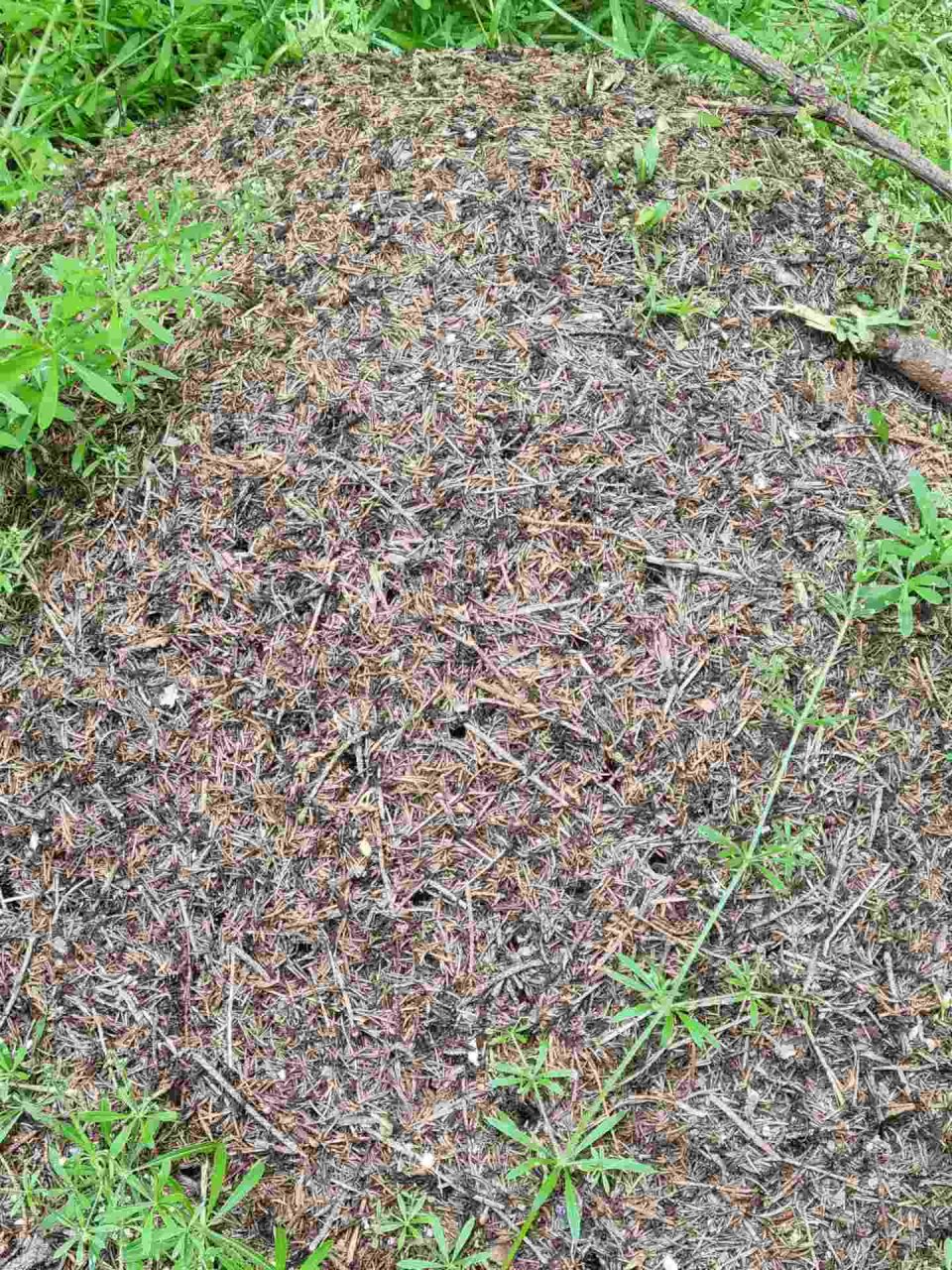 06 Aktion Juni 23 - Erlebnistage